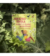 A titkos varázslat (Varázslóiskola nappali és éjszakai mágusoknak 4.)