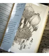 Kitka Bence Balatonalján