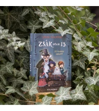 Itt mindenki zakkant? – Zsák utca 13.