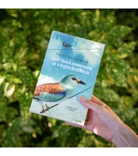 Párhuzamosok a végtelenben