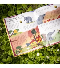 A méhek titkos élete