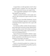 A sötét igazság (Lósuttogó Akadémia 10.)