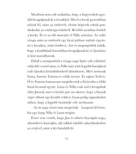 A viharlovak szigete 2. – Kaland a Felhőerdőben