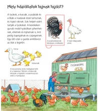 A vidéki élet lexikona – Mit? Miért? Hogyan? Mini