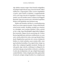 A hetedik Égbolt