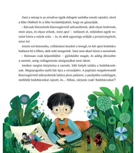 Dani és a bodobácsok – Avagy a nagy MRRFFFH kaland