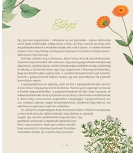Édesanyák kézikönyve – Természetgyógyász a családban