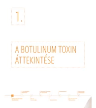Esztétikai arckezelések – Botulinumtoxin-kezelés és hialuronsav-töltés