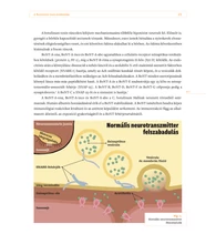 Esztétikai arckezelések – Botulinumtoxin-kezelés és hialuronsav-töltés