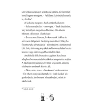 A mágikus lovaglócsizma – Lili és a varázscipők 7.