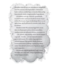 A mágikus lovaglócsizma – Lili és a varázscipők 7.