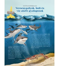 Vad vándorok – Kövesd az állatok kalandos útját!