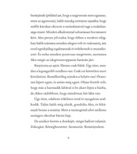 Varázsgömb 3. – Az egyiptomi amulett