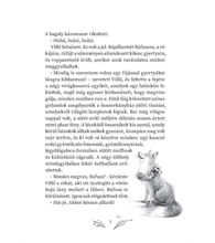 Szárnysuhogás – A titokzatos varázserdő 3.