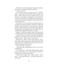 Az esernyőkészítő fia
