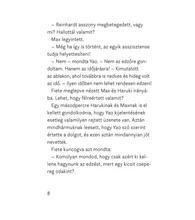 Az első bajnokság – Futball Akadémia 4.
