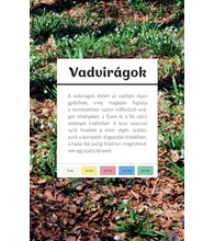 Mi nyílik most? – Kora tavasz
