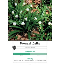 Mi nyílik most? – Kora tavasz