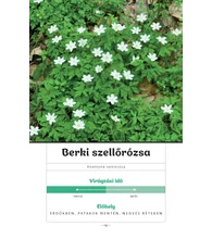 Mi nyílik most? – Kora tavasz