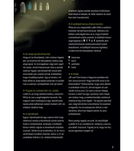 A kísértetkastély fogságában – Szabadulj ki! 1.
