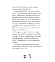 A láthatatlan sziget rejtélye – Lili és a varázscipők 6.
