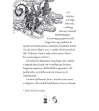 A sárkányok gyémántjai – Lili és a varázscipők 5.