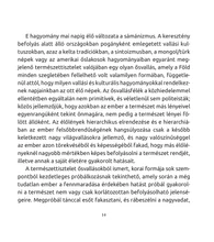 Az erdőfürdő eszköztára