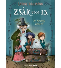 Itt mindenki zakkant? – Zsák utca 13.