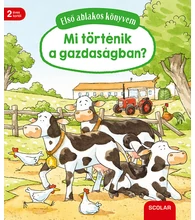Első ablakos könyvem – Mi történik a gazdaságban?
