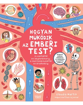 Hogyan működik az emberi test? – A csontoktól az idegrendszerig, a szervrendszerektől az érzékelésig