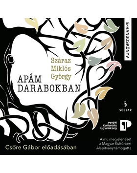 Apám darabokban (e-hangoskönyv) – Csőre Gábor előadásában