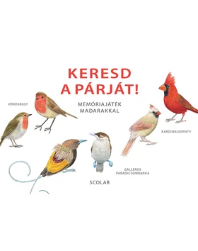 Keresd a párját! – Memóriajáték madarakkal