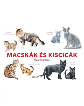 Macskák és kiscicák – Memóriajáték