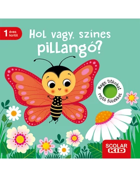Hol vagy, színes pillangó?