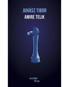 Amire telik