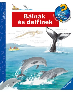 Bálnák és delfinek – Mit? Miért? Hogyan? (37.)