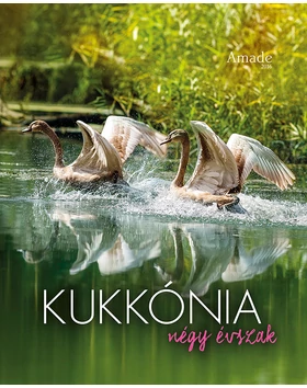 Kukkónia – Négy évszak