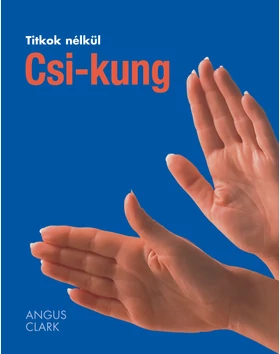 Csi-kung