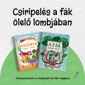 social kép