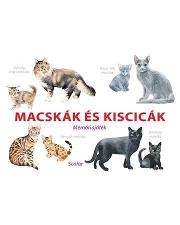 Macskák és kiscicák – Memóriajáték