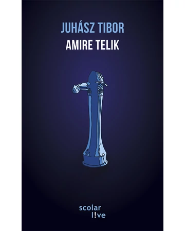 Amire telik