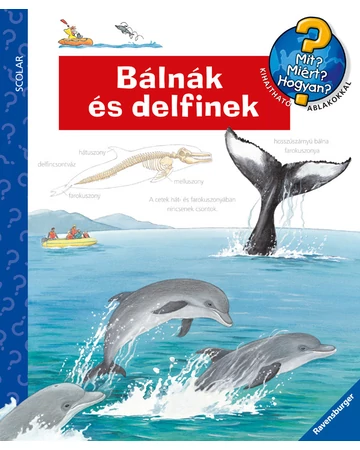 Bálnák és delfinek – Mit? Miért? Hogyan? (37.)