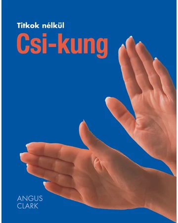 Csi-kung