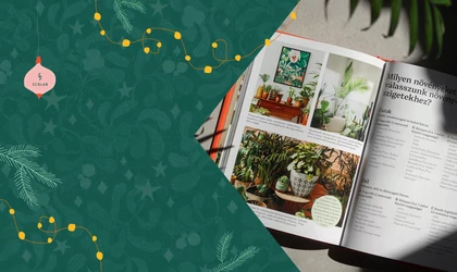 Örül az Aloe verám, ha éneklek neki?