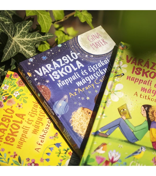 Az Arany Csillagjegy (Varázslóiskola nappali és éjszakai mágusoknak 3.)