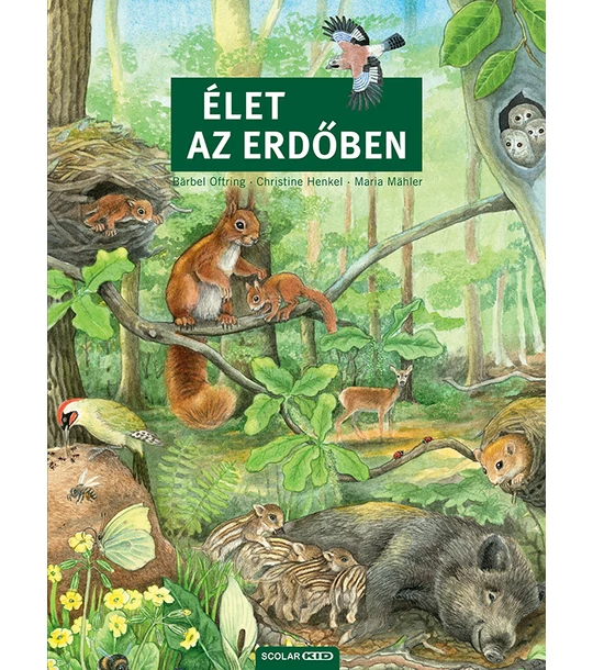 Élet az erdőben