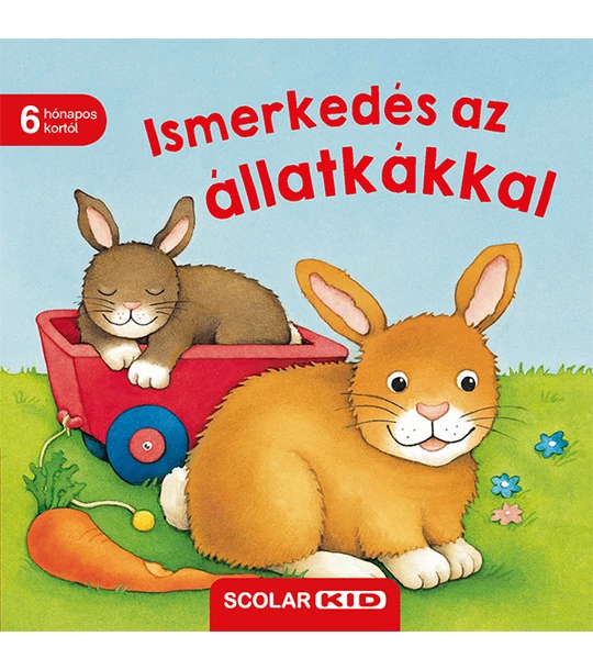 Ismerkedés az állatkákkal