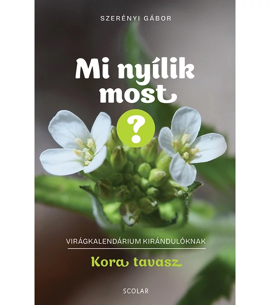 Mi nyílik most? – Kora tavasz