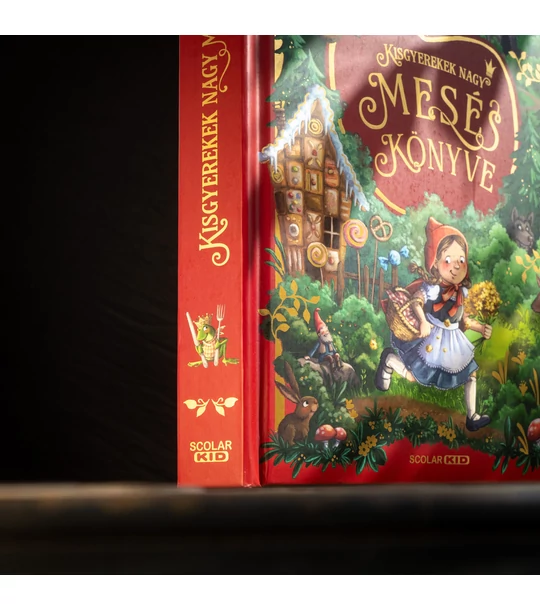 Kisgyerekek nagy meséskönyve