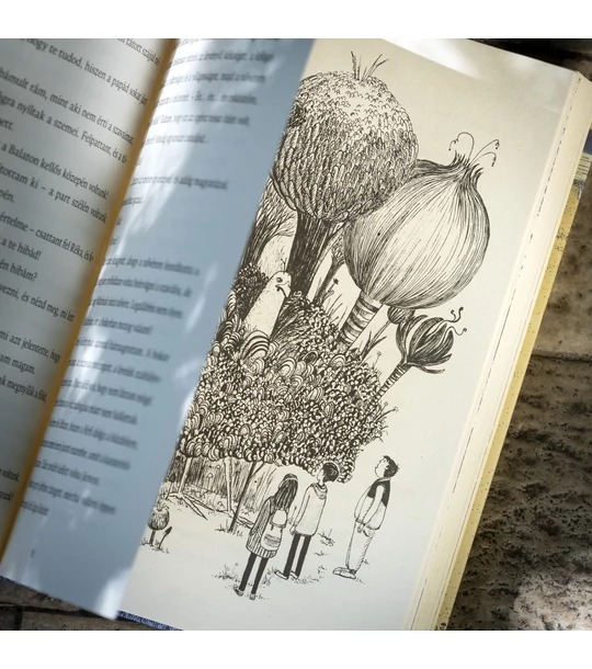 Kitka Bence Balatonalján